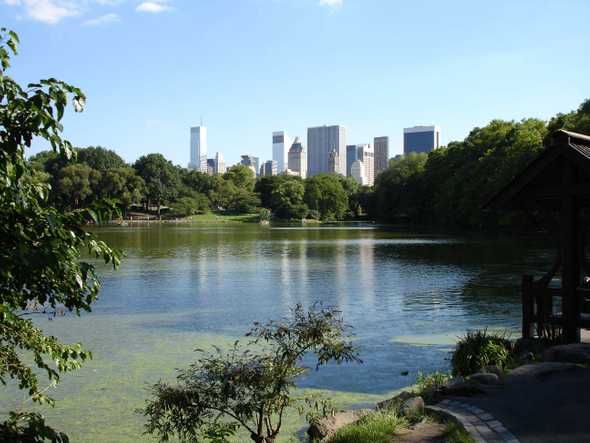 central Park New York